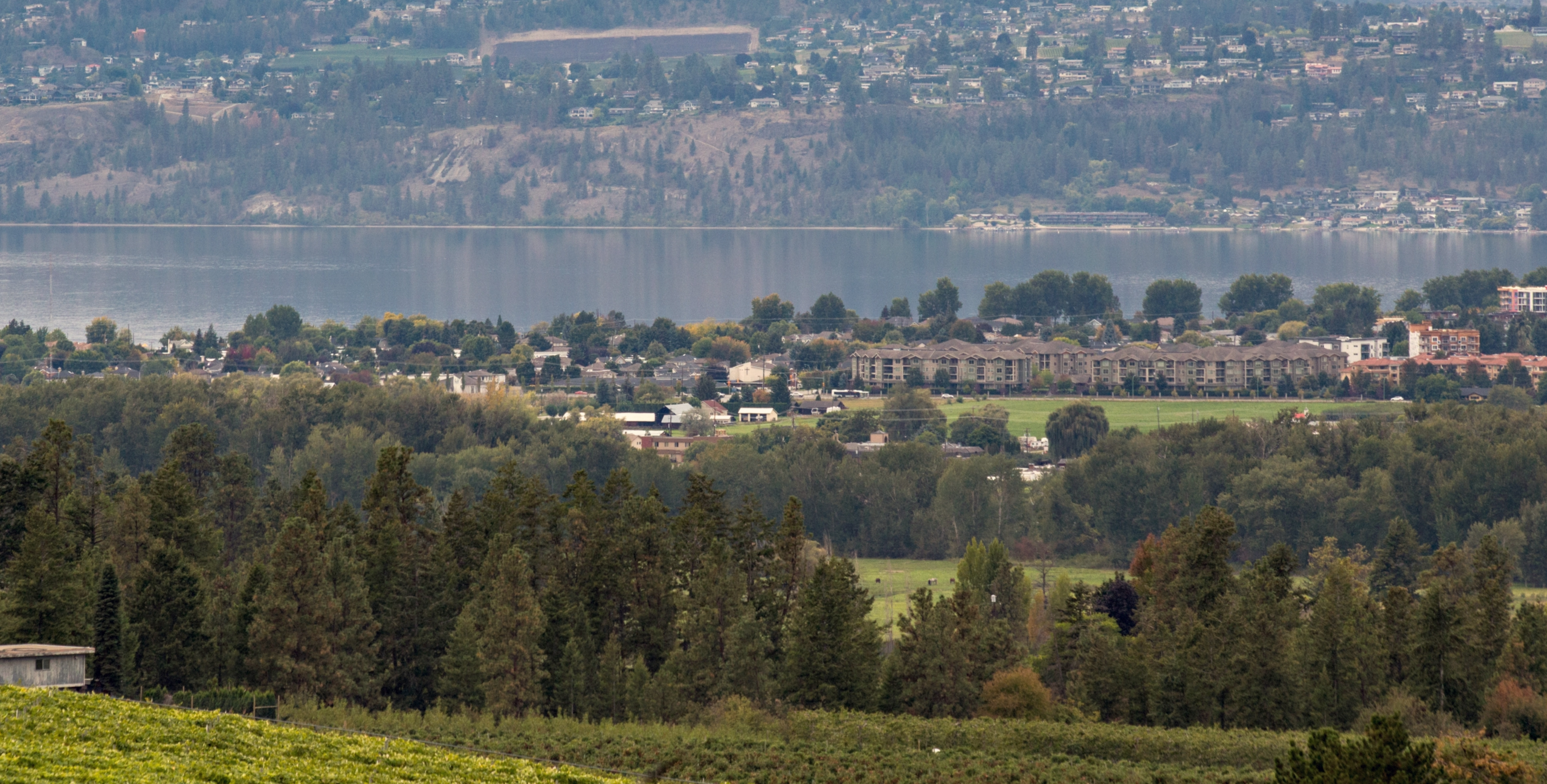 <h1>When Your Community Needs Homes Now We Deliver in 60 Days</h1>
<p>Supporting First Nations with quality, speed, respect, and care.</p>
